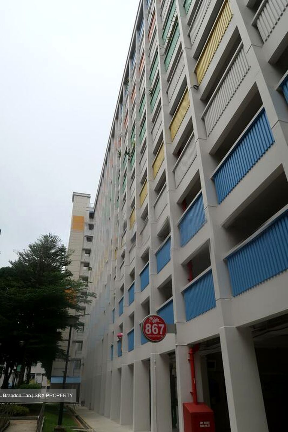 Blk 867 Yishun Street 81 (Yishun), HDB 4 Rooms #503709921